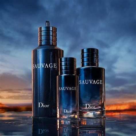 sauvage dior bottle sizes|how expensive is Dior Sauvage.